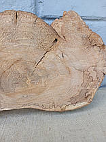 Дерев'яний зріз натурального дерева, заготовка для творчості, 290х180х40мм., фото 4