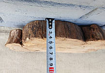 Дерев'яний зріз натурального дерева, заготовка для творчості, 290х180х40мм., фото 5