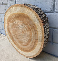 Дерев'яний зріз-заготівля для творчості, 290х290х55мм., фото 2