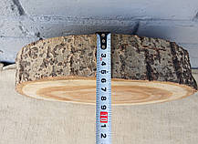 Дерев'яний зріз-заготівля для творчості, 290х290х55мм., фото 4