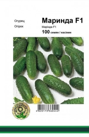 Огірок Марінда F1 100 шт Агропак (Seminis), фото 1