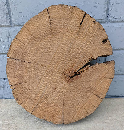 Зріз дерева дуба для заливки епоксидною смолою (не оброблений) 290х260мм., фото 1
