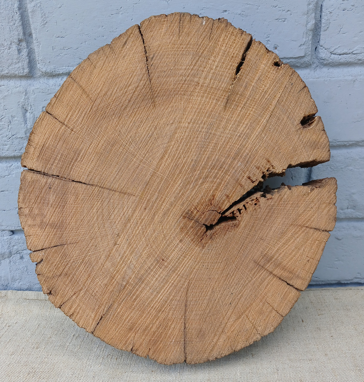 Зріз дерева дуба для заливки епоксидною смолою (не оброблений) 290х260мм.