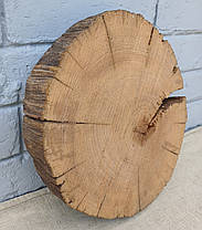 Зріз дерева дуба для заливки епоксидною смолою (не оброблений) 290х260мм., фото 2