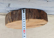 Зріз дерева дуба для заливки епоксидною смолою (не оброблений) 290х260мм., фото 4