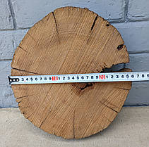 Зріз дерева дуба для заливки епоксидною смолою (не оброблений) 290х260мм., фото 5