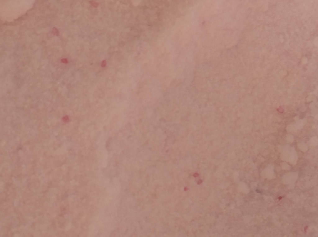 Пральний порошок автомат та ручне прання UNIVERSAL 10,500 КГ 165 прань - фото покупців 2