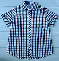 Детская рубашка для мальчика с коротким рукавом BoGi