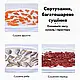 Складна сітка для сушіння риби 60х40х60см, 3 яруси / Сітка сушка для фруктів / Підвісна сушарка для грибів, фото 6