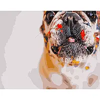 Картина по номерах для розфарбовування "Мокрий носик" 40х50 см, набір для творчості Strateg GS249