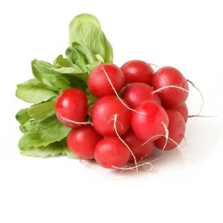 Редис