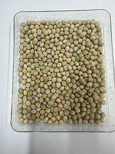 БАЛТРАП – сорт Озимого гороху.. Оригінатор: Флорімон Деспре (Франція)