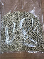 Озимий горох Балтрап. Оригінатор: Флорімон Деспре (Франція), фото 5