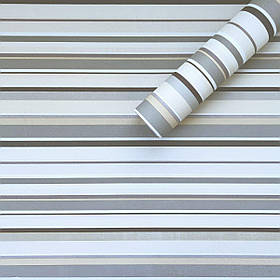 Самоклеюча плівка 0,45х10м х 0,07мм Світло-сталева SW-00001209