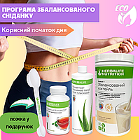 Комплекс для похудання "Енергія" Гербалайф білковий коктейль протеїн жироспалювачі таблетки капсули бади + Мірна ложка в подарунок
