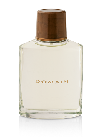 Туалетна вода-спрей Domain, фото 1