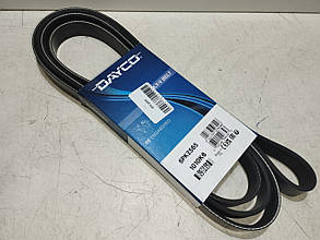 Dayco Ремінь полікліновий 6pk2565