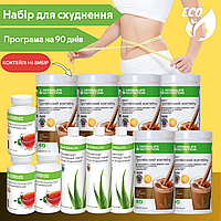 Програма для схуднення "Гармонія" Гербалайф коктейлі протеїн бади для схуднення таблетки жироспалювач + Шейкер і ложка в подарунок