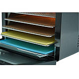 Дегідратор Tekhniko DH-06D-BK, фото 6