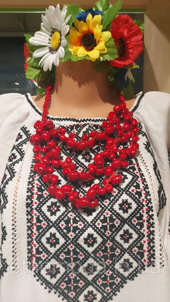 Буси українські гачковані