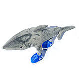 М`яка іграшка Акула Тралалеро Тралала плюш Копиця 50*20*12см (00515-1), фото 3