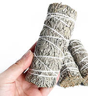 Блакитний шавлія для викурювання