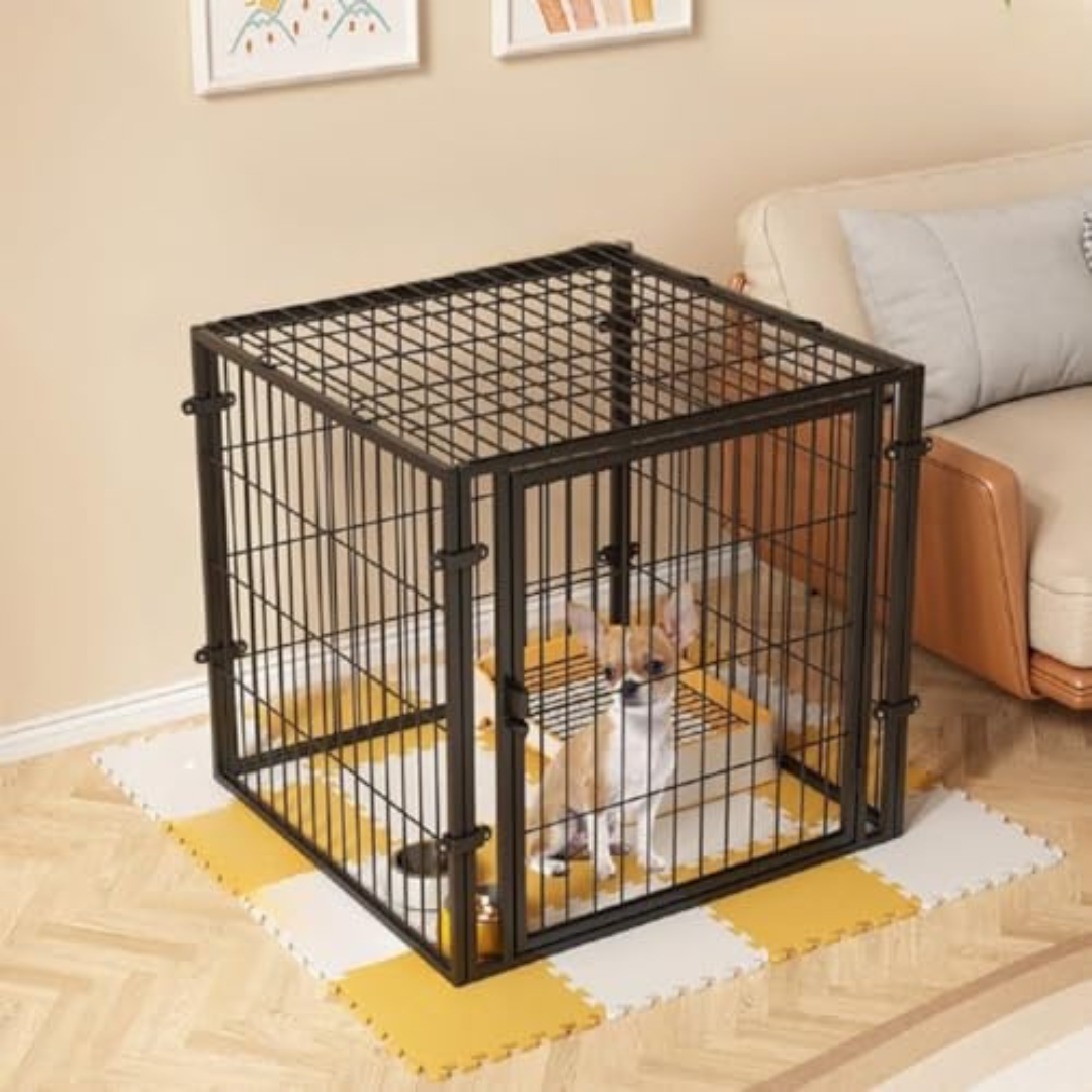 Будка вольєр для домашніх тварин металевий Springos 60 x 60 x 60 см Чорний, фото 1