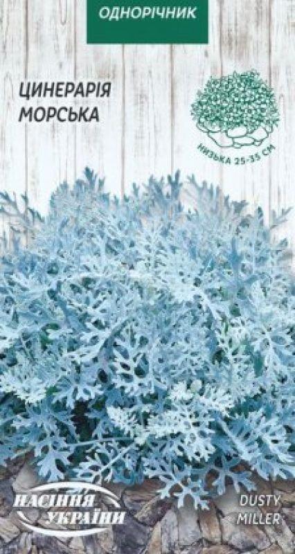 Насіння Квіти Цинерарія Морська 0,1 г Насіння України