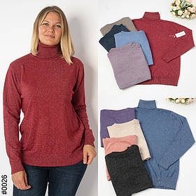 0026 МІКС Гольф жіночий напівбатал (мікс кольорів: 10 од: 48-52 | універсальний)