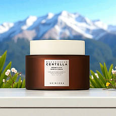 Живильний крем для обличчя з пробіотиками SKIN1004 Madagascar Centella Probio-Cica Enrich Cream 50 ml