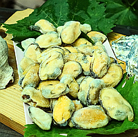 М'ясо мідій велике 100/200 Чилі, відмінна якість