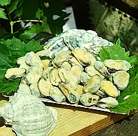 М'ясо мідій 200/300 Чилі, супер якість