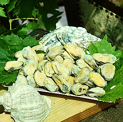 М'ясо мідій 200/300 Чилі, супер якість