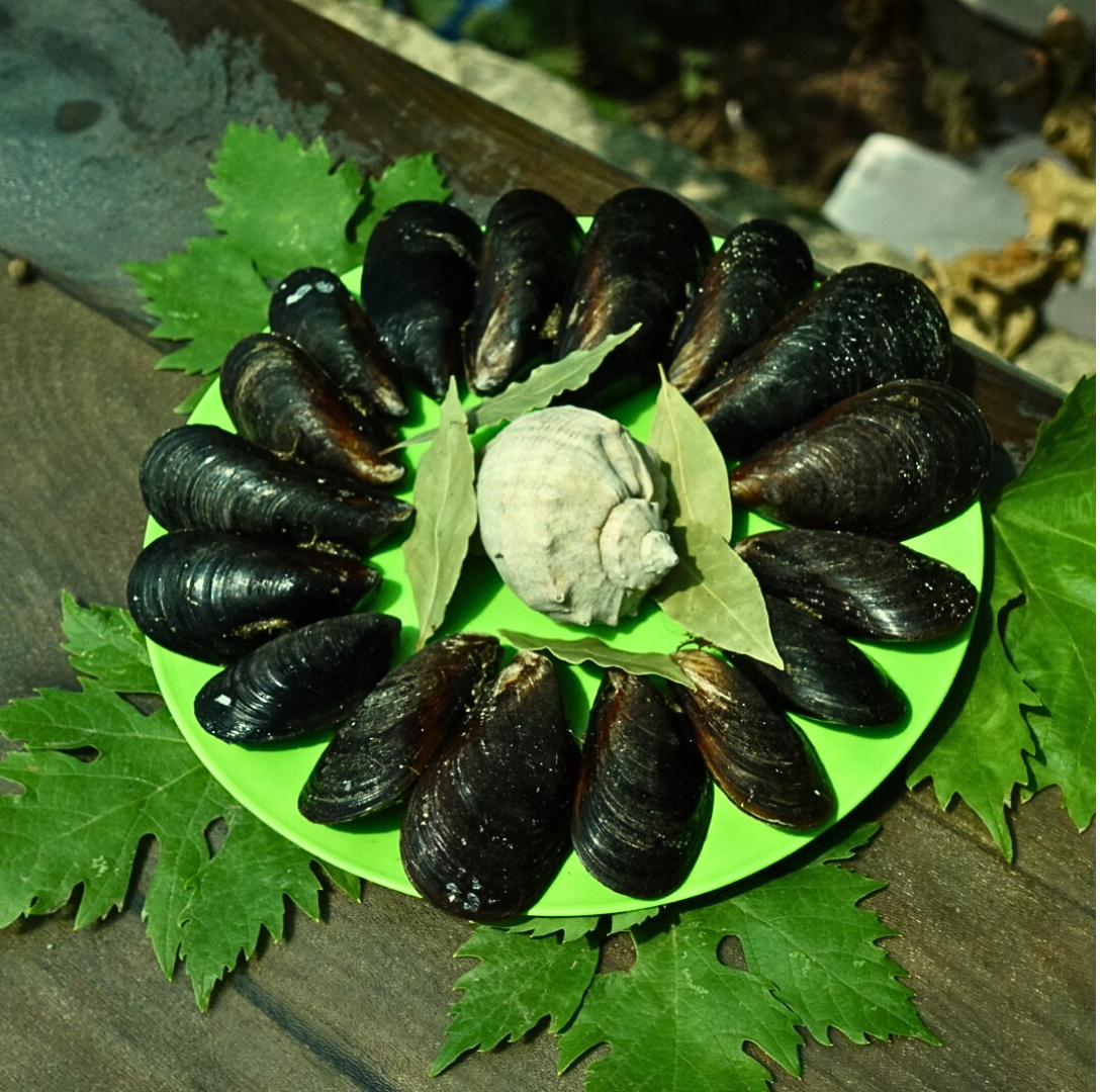 Мідії в мушлях охолоджені чорноморські мікс 5-7см, фото 1