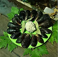 Мідії в мушлях охолоджені чорноморські мікс 5-7см