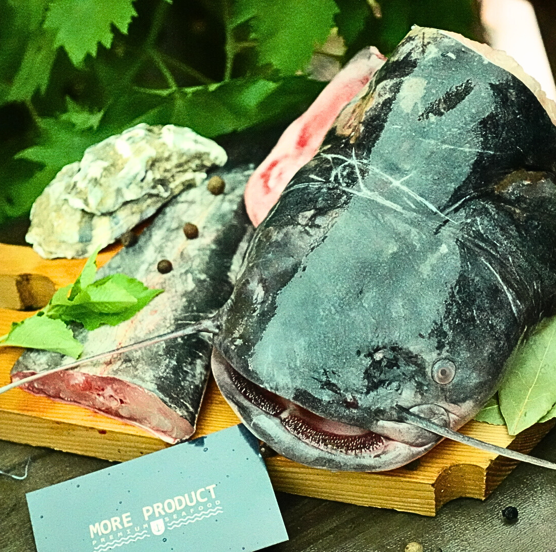 Суповий набір із сома свіжоморожений (вкуумний пакет +-1кг), фото 1