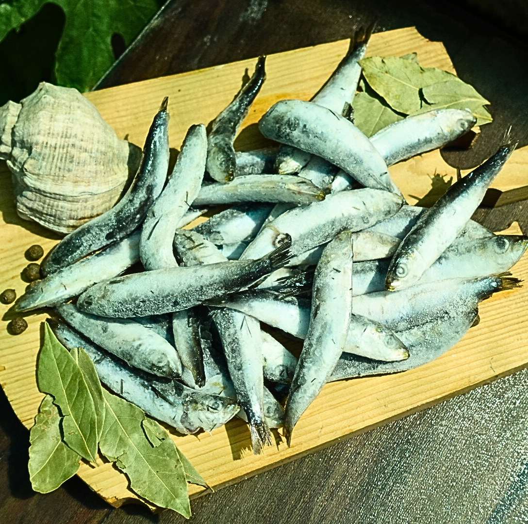 Сардина свіжоморожена, +- 12см - фото 1 - id-p1644010992