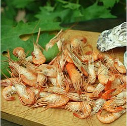 Креветка Розенберга вареноморожена, розмір 2-4 см/шт