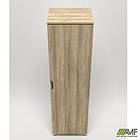 Гардероб Delta DL-906 (550х420х2078мм) Блеквуд Ячмінний / Опора білий беж, фото 4