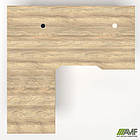 Робоче місце + USB Delta DL-102 (1590х1600х750мм) Блеквуд Ячмінний / Каркас білий, фото 4