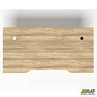 Стіл + USB Delta DL-106 (1590х800х750мм) Блеквуд Ячмінний / Каркас білий, фото 4