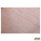 Стілець Учнівський №6 чорний лак бук, фото 3