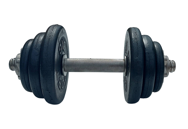 Гантель металева розбірна з покриттям розбірна гантель для тренувань гантель для дому GoodLift 18 кг, фото 3