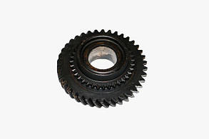 Шестерня 1-ї передачі ТАВРІЯ, СЛАВУТА, СЕНС (шестерня кпп першої передачі 1102, 1103, sens) 245-1701112