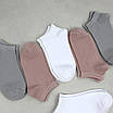 Шкарпетки жіночі короткі 12 пар бавовна преміум сегмент розмір 35-38 арт. 47Н.4/272Н.4/54Н.4, фото 4
