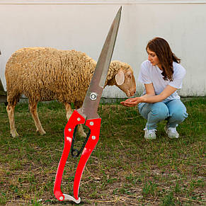 Ручні ергономічні ножиці зі сталевим лезом для стрижки овець 1057 FEL LONG - Wool-Shears (JS), фото 1