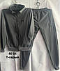 Спортивний костюм чоловічий норма двонитка трикотаж весна-осінь, фото 2