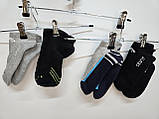 Носки Crivit р39-40 Німеччина, фото 5