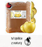 Яблучний сік вичавлений з Антонівок 100% - упаковка 3 літри, фото 2