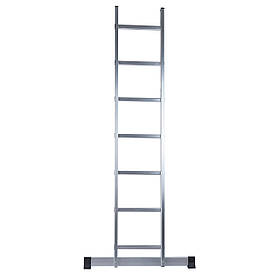 Драбина приставна алюмінієва Procraft PLA1.202